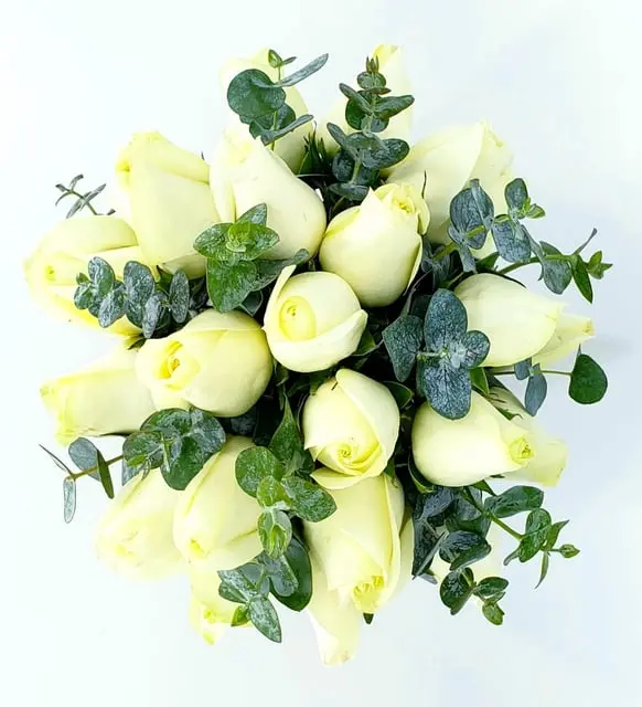 24 rosas blancas 2.webp